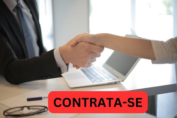 melhores curos para o meracdo de trabalho
