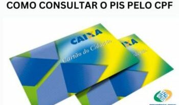 consultar pis pelo cpf