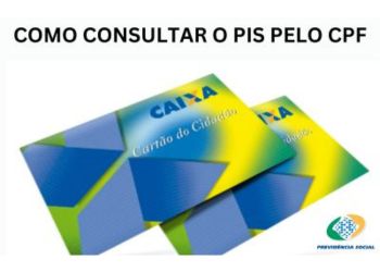consultar pis pelo cpf