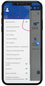 consultar pis pelo cpf